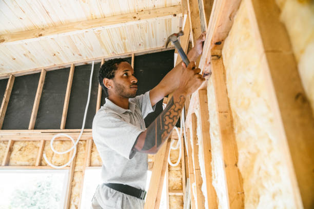 Best Local Insulation Services  in Attica, MI