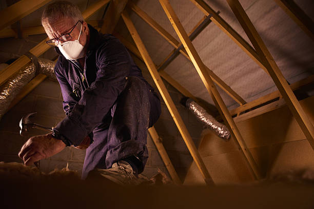 Professional Insulation Contractor in Attica, MI